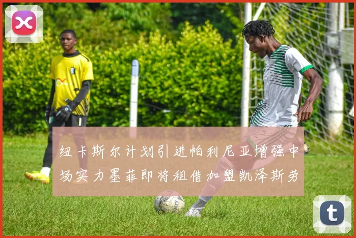 纽卡斯尔计划引进帕利尼亚增强中场实力墨菲即将租借加盟凯泽斯劳滕